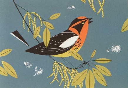 Blackburian Warbler by Charley Harper